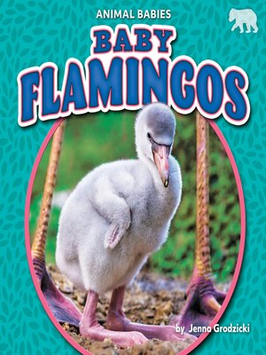 cover image of Baby Flamingos